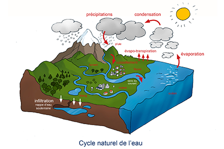 SESM54 - Cycle naturel de l'eau